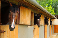 free Nantlle stable construction quotes